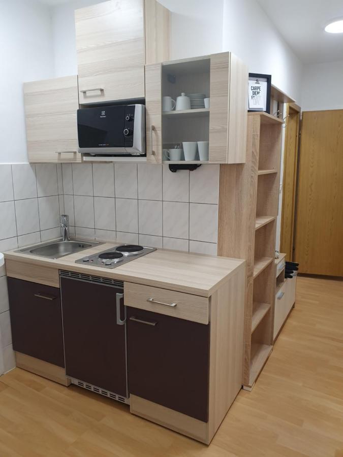 Railway Station City Modern Apartment Марібор Екстер'єр фото